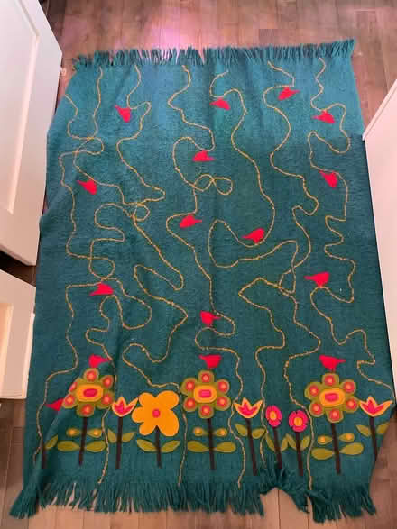 Photo of free Teal throw (Petworth) #2