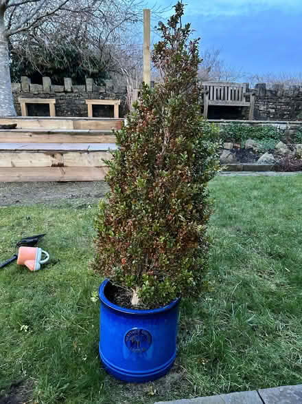 Photo of free Plant pots (Turton BL7) #1