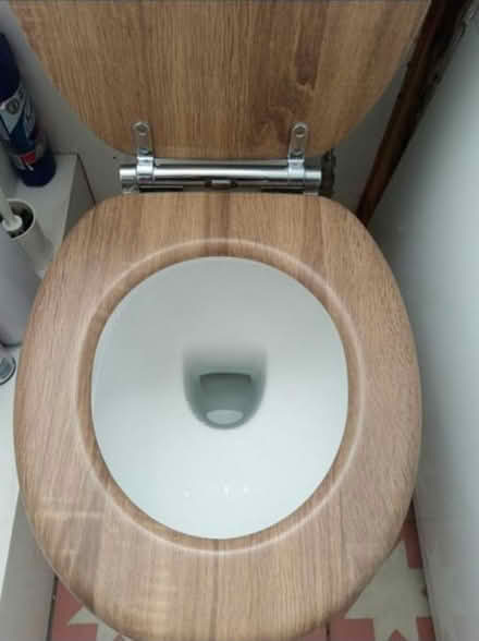 Photo of free Toilet (Manor house/Finsbury Park) #2