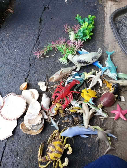 Photo of free Water play items (Bolton le Sands LA5) #1