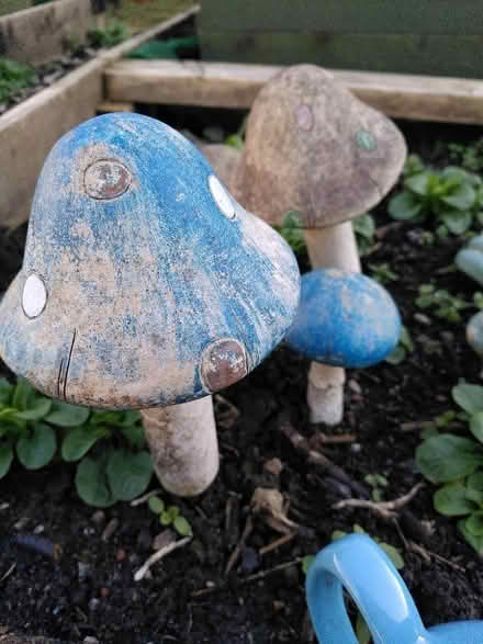Photo of free Ceramic Garden Toadstools (Penarth CF64) #1
