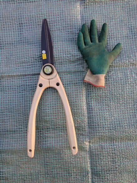 Photo of free Collection of Garden Shears (Bushey Heath WD23) #3