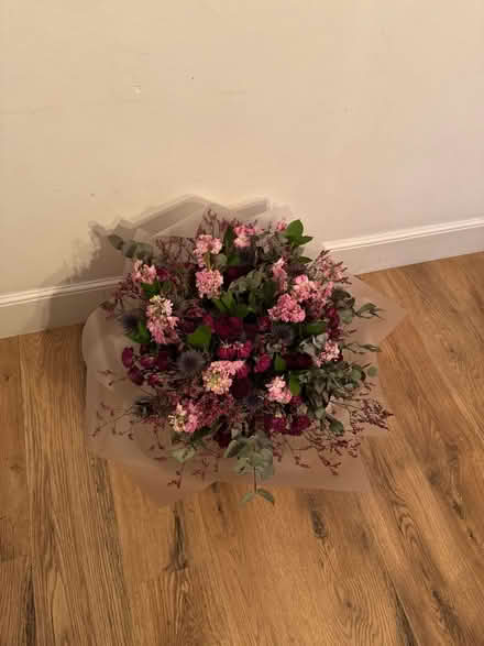 Photo of free Giant dry flowers (Newbury Park IG2) #1