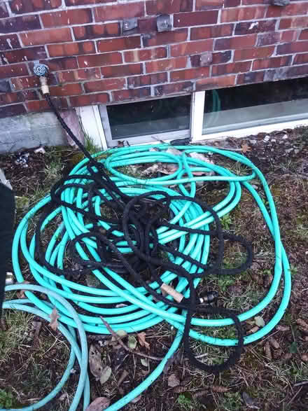 Photo of free Green garden hose and hose reel (Lakewood, near St Clares) #2