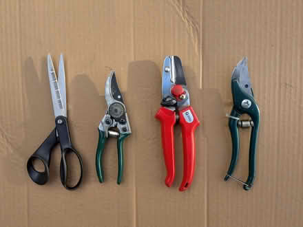Photo of free Garden Scissors and Collection of Pruners (Bushey Heath WD23) #1