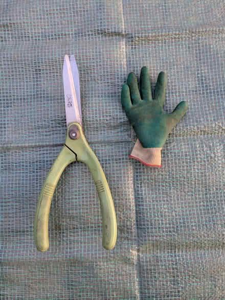Photo of free Collection of Garden Shears (Bushey Heath WD23) #4