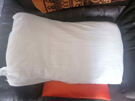 Photo of free Old pillow (Winlaton Mill NE21) #1