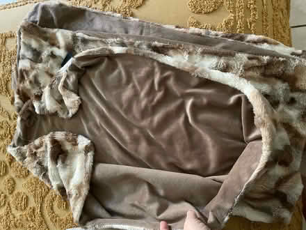 Photo of free Comfy blanket (Hallandale Beach Blvd and US1) #2