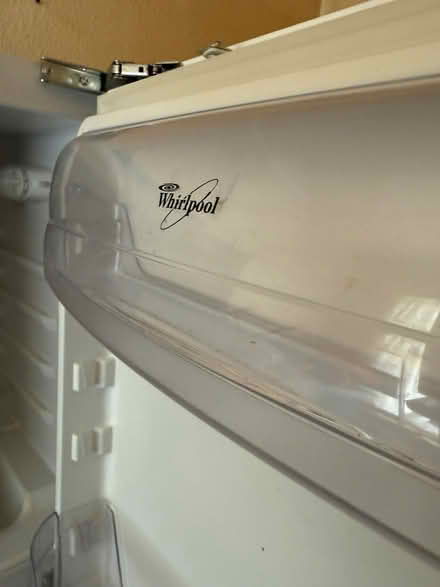 Photo of free Fridge (Cooden TN39) #4