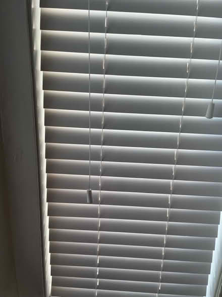 Photo of free Large slat Wooden Venetian blinds (Lytham St Anne’s, FY8) #3