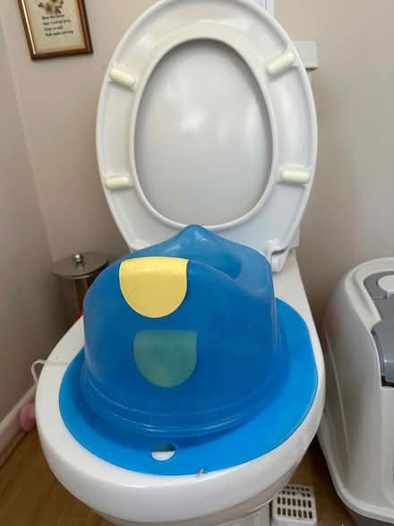 Photo of free Potty trainer (Bournemouth BH7) #1