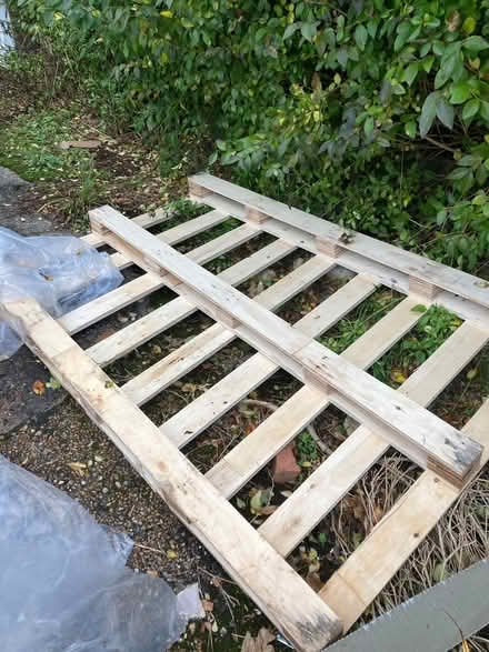 Photo of free Pallet (Bohemia TN34) #1