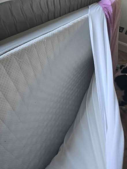 Photo of free 1 single mattress and duvets (CR2) #3