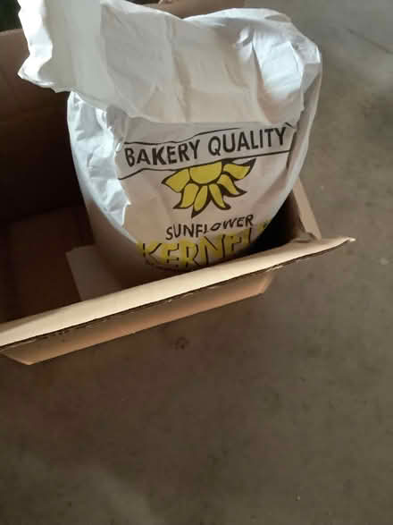 Photo of free Sunflower hearts (Cheadle Hulme SK8) #1