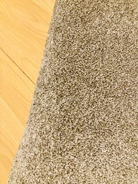 Photo of free Carpet offcuts (Hollingdean BN1) #2