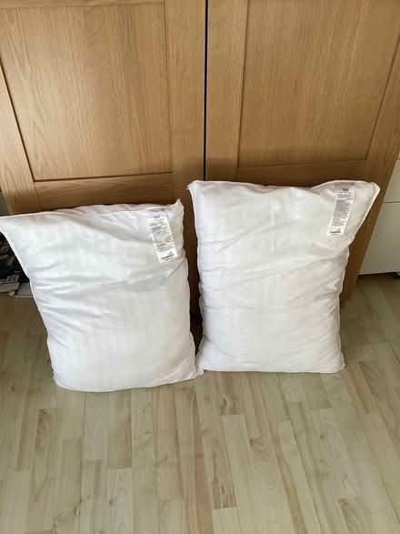 Photo of free 2 Snuggledown pillows (Orpington BR5) #1