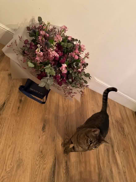 Photo of free Giant dry flowers (Newbury Park IG2) #3