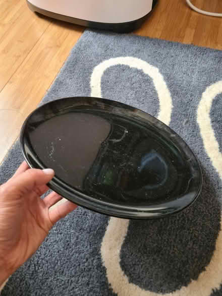 Photo of free IKEA black dinner plate (Wood green N22) #1