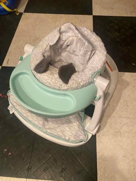 Photo of free baby items 8 (Montgomery Village) #1
