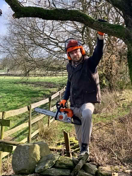 Photo of Logs / Firewood (Ribble Valley) #3