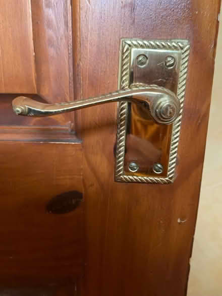 Photo of Door handle (lanark) #3