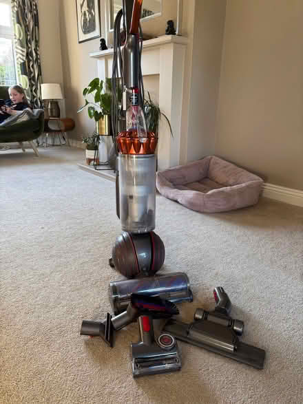 Photo of free Dyson upright hoover (Harrogate HG2) #1