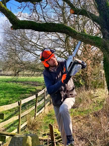 Photo of Logs / Firewood (Ribble Valley) #2