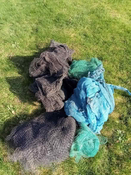 Photo of free Netting for allotment (Streethay) #1