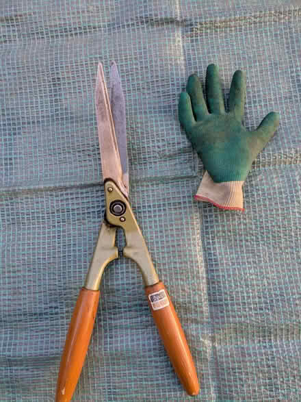 Photo of free Collection of Garden Shears (Bushey Heath WD23) #2
