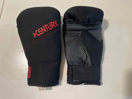 Photo of free Small boxing gloves (Brookmont) #3