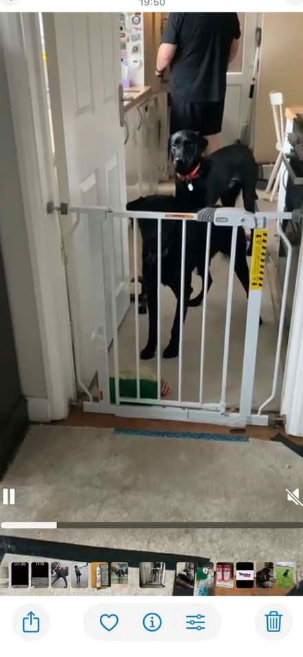 Photo of free Stair Gate (Belmont SL6) #1