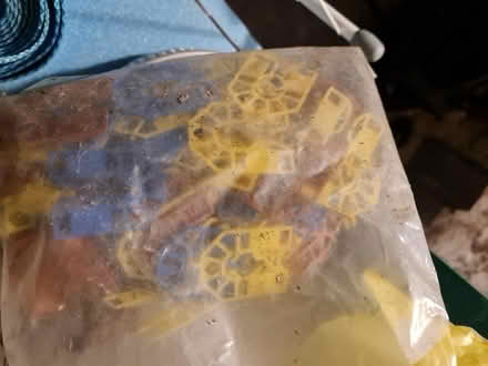Photo of free Bag of plastic wedges (Lancaster freehold) #1