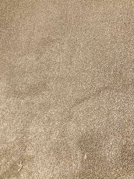 Photo of free Carpet offcuts (Hollingdean BN1) #1