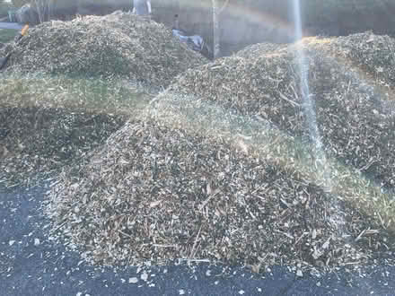 Photo of free Cedar Chips (Rainier Beach) #1