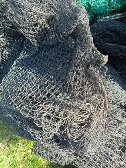Photo of free Netting for allotment (Streethay) #2