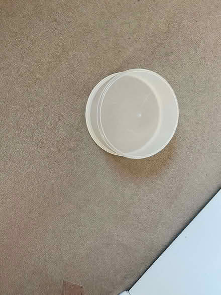 Photo of free Cake box (Upper Wolvercote OX2) #1