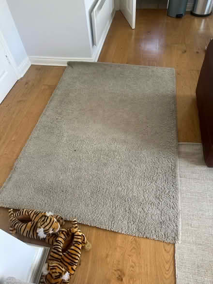 Photo of free Beige Rug (Stockwell) #1