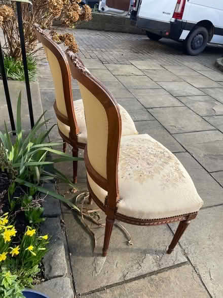 Photo of free Pair of chairs (Bruntsfield EH10) #2