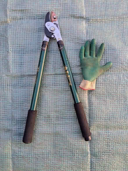 Photo of free Heavy Duty Lopper (Bushey Heath WD23) #1