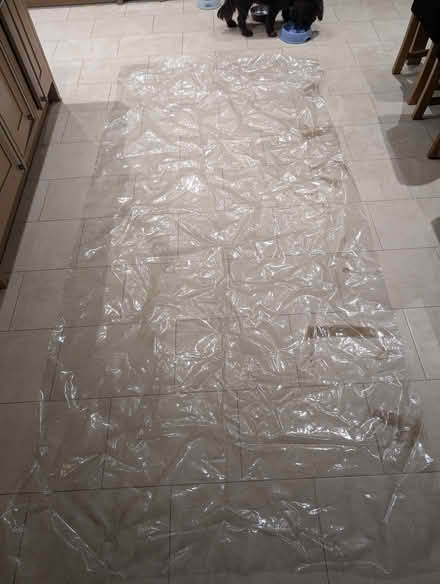 Photo of free Plastic Table Cloth (AL2) #1