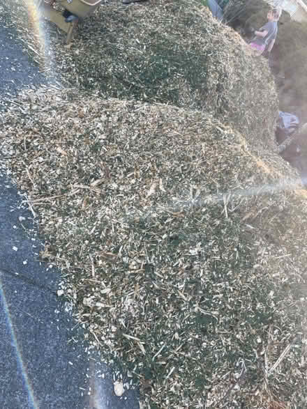 Photo of free Cedar Chips (Rainier Beach) #2
