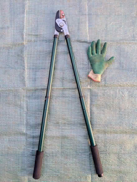 Photo of free Heavy Duty Lopper (Bushey Heath WD23) #2