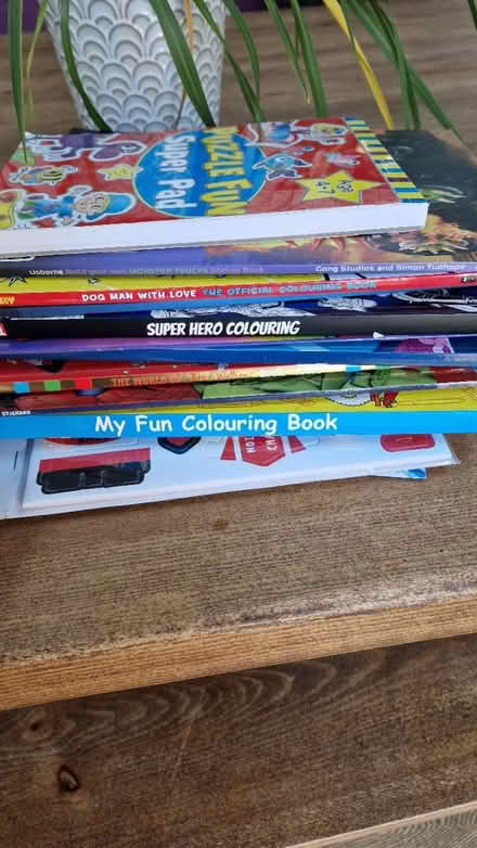 Photo of free Part used colouring activity books (Bay Horse) #1