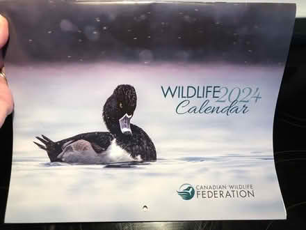 Photo of free 2024 calendar (Winston Churchill/collegeway) #1