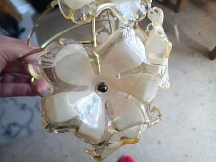 Photo of free Ceiling lamp shade (Tiptree CO5) #3