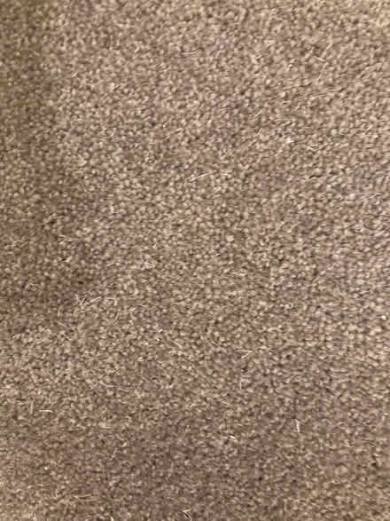 Photo of free Carpet offcuts - wool (Hollingdean BN1) #1