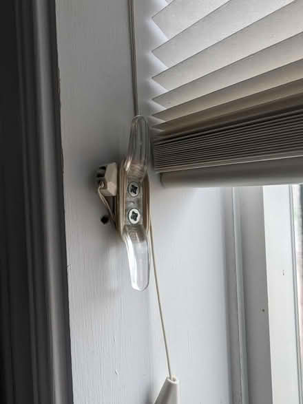Photo of free Corded cellular blinds 19" wide (Downsview at Keele and Wilson) #3