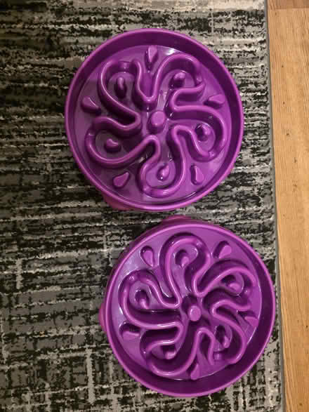 Photo of free Slow feeders for dogs (PO13 Howe Road Gosport) #1