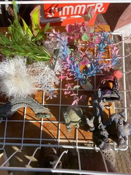 Photo of free Mixed fish tank items (Batheaston) #1