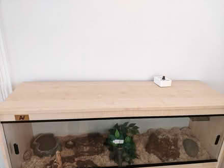 Photo of free Vivarium and Corn Snake (Willen MK15) #2